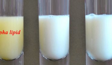 Khác biệt giữa sữa non alpha lipid với sữa thường